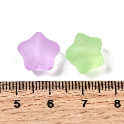Gefrostet transparent Acrylperlen&nbsp;FACR-C001-01B