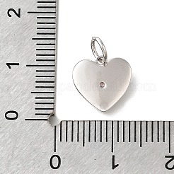 925 breloques en zircon cubique transparent en argent sterling&nbsp;STER-V001-01P-10