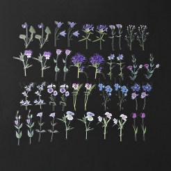 Set di adesivi impermeabili adesivi per animali da 40 pz&nbsp;DIY-K032-56A