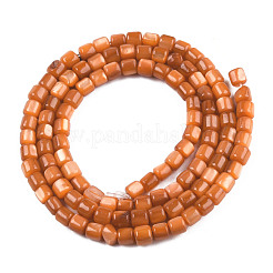 Naturali di acqua dolce perline shell fili&nbsp;SHEL-N026-233