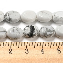Natürliche Howlith Perlen Stränge&nbsp;G-M420-D04-01