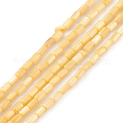 Fili di perline tinti in conchiglia naturale d'acqua dolce&nbsp;SHEL-M018-12