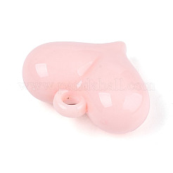Opake Acryl Anhänger&nbsp;SACR-T017-45E