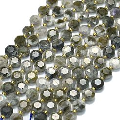 Chapelets de perles en labradorite naturelle &nbsp;G-C116-A94-01