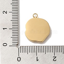 Ciondoli in acciaio inox 304&nbsp;STAS-B074-08G-02