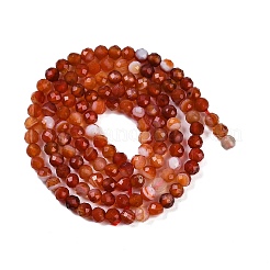 Brins de perles d'agate à bandes naturelles&nbsp;G-P553-G09-02