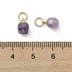Natürlichen Amethyst Edelsteinanhänger&nbsp;PALLOY-JF05300-02