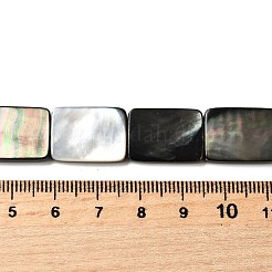 Natur schwarz Lippe Shell Perlen Stränge&nbsp;BSHE-D300-03-13x18mm