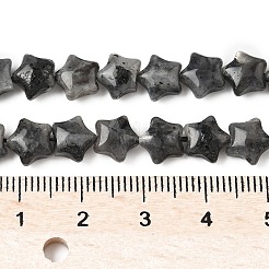 Natürliche Larvikit-Sternperlenstränge&nbsp;G-Z080-A03