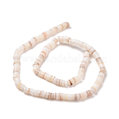 Süßwasser-Muschelperlen Stränge&nbsp;SHEL-G011-09-A02