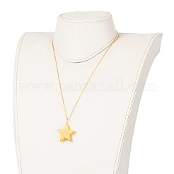 Colliers pendentif étoile en agate naturelle&nbsp;NJEW-JN03238-03