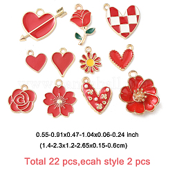 22pcs 11 Arten Legierungsanhänger&nbsp;ENAM-FP0001-76