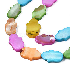 Naturali di acqua dolce perline shell fili&nbsp;SHEL-S278-02-B02