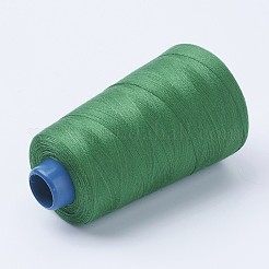 Fil de polyester&nbsp;OCOR-WH0001-10