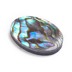 Cabochon di conchiglia abalone naturale / paua shell&nbsp;LS-SSHEL-L017-003