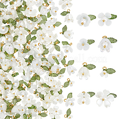 160pcs 8 Arten Acrylanhänger&nbsp;FIND-SC0021-55G