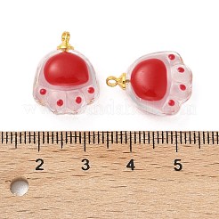 Pendentifs en résine transparente&nbsp;FIND-R147-02G