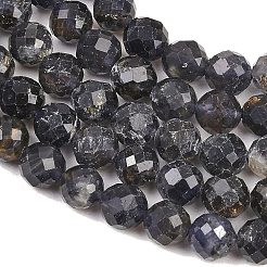 Naturperlen Stränge iolite&nbsp;G-RM250101-E7