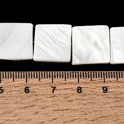 Natürlichen Süßwasser-Muschelperlen Stränge&nbsp;SHEL-A006-10B