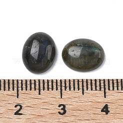 Natur Labradorit Cabochons&nbsp;G-F815-01A
