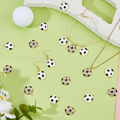 24pcs 2 styles de pendentifs en émail en alliage&nbsp;ENAM-HY0001-57