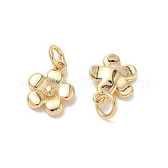 Colgantes de latón Shegrace&nbsp;XGRQ3D665-472G