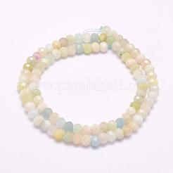 Naturperlen Stränge morganite&nbsp;G-F509-54-5x8mm