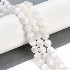 Brins de perles de sélénite naturelles&nbsp;G-G167-A02-01