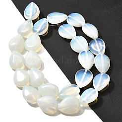 Opalite Perlen Stränge&nbsp;G-P561-B015-01