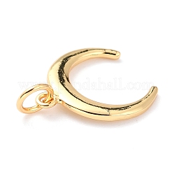 Messing Anhänger & Charms&nbsp;KK-M218-12G-RS