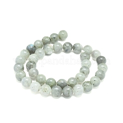 Natur Labradorit Perlen Stränge&nbsp;G-G828-01-10mm