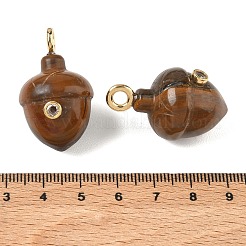 Pendentifs en œil de tigre naturel&nbsp;GG-CBA105B-04M-G