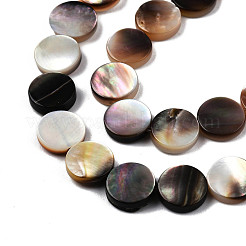 Natur schwarz Lippe Shell Perlen Stränge&nbsp;SSHEL-N003-151B
