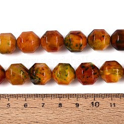 Naturali multicolore agata fili di perline&nbsp;G-Q606-76