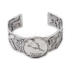 Bracelets à manchette ouverte en alliage constellation pour femmes et hommes&nbsp;LS-BJEW-C064-01AS-05