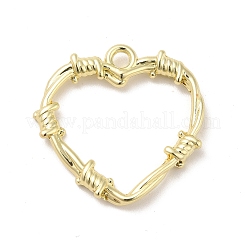 Pendentifs en alliage&nbsp;X-FIND-H032-01LG