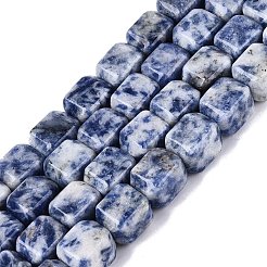 Natürliche blaue Fleck Jaspis Perlen Stränge&nbsp;G-Q608-10G