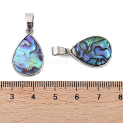 Anhänger aus natürlicher Paua-Muschel in Gestellbeschichtung&nbsp;KK-E059-15P
