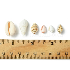 6 Stil natürliche Kauri-Muschel-Anhänger und Muschelperlen-Sets&nbsp;DIY-FS0006-94