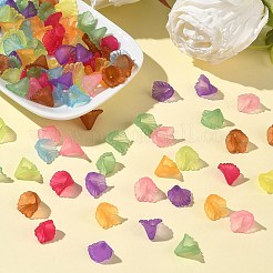 Perles en acrylique transparente&nbsp;PL622M