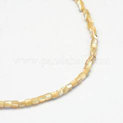 Natürliche Trochidschale / Trochusschalenperlenstränge&nbsp;X-SSHEL-R037-23