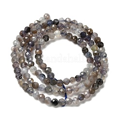 Naturperlen Stränge iolite&nbsp;G-RM2025-22-3mm