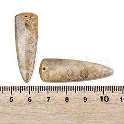 Natürliche fossile Korallenanhänger&nbsp;G-B187-01C-07