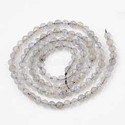 Perline labradorite naturale fili&nbsp;G-T107-14