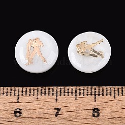 Perles de coquillages naturels d'eau douce&nbsp;SHEL-N037-02K-G