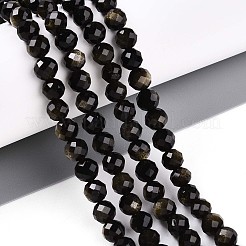 Natürliche goldenen Glanz Obsidian Perlen Stränge&nbsp;G-S345-6mm-20