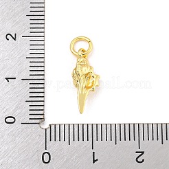 Pendentifs de placage en laiton&nbsp;KK-Z048-06-02G