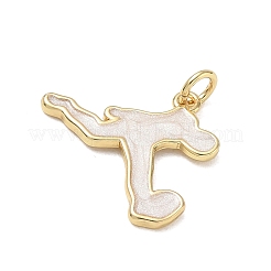 Pendentifs d'émail en laiton &nbsp;KK-CBA9234-12G-02