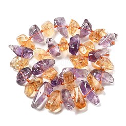 Naturperlen Stränge ametrine&nbsp;G-C179-C01-01