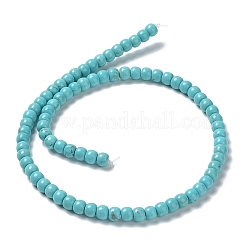 Fili di perline howlite naturale&nbsp;G-E604-F01
